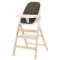 Стул для кормления CARRELLO Ergo CRL-16701 pine green /1/ MOQ